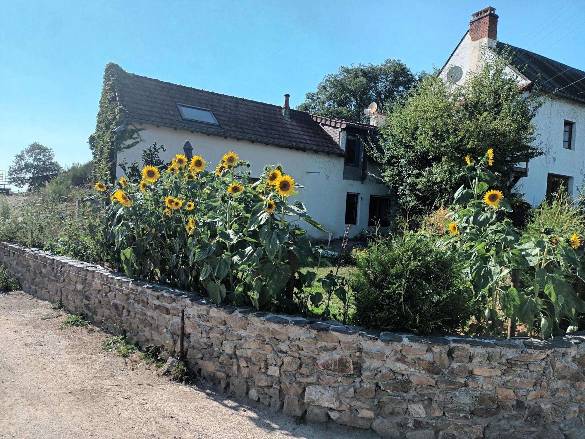 Hébergement de vacances Happy Sun Flower